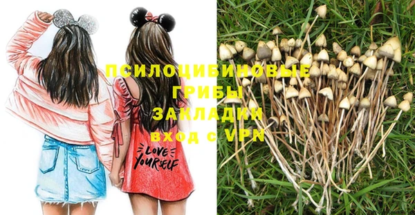 МДПВ Алексеевка