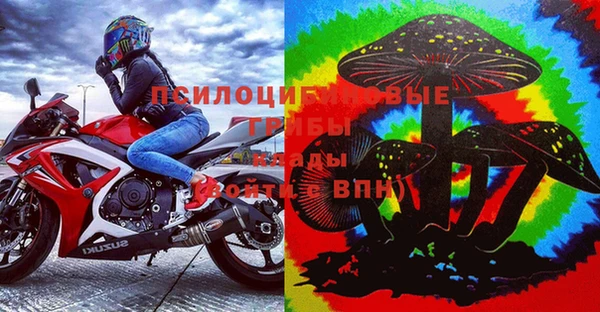 хмурый Пестово