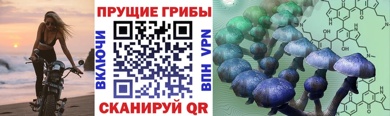 Псилоцибиновые грибы Psilocybe  MEGA вход  нарко площадка клад  Биробиджан 